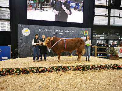 Shweps, champion du concours qualités bouchères à Paris