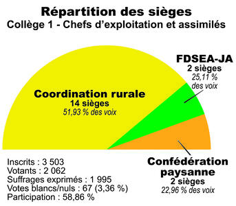 La vague jaune emporte tout