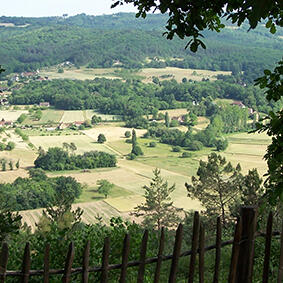 La rédaction du bail rural