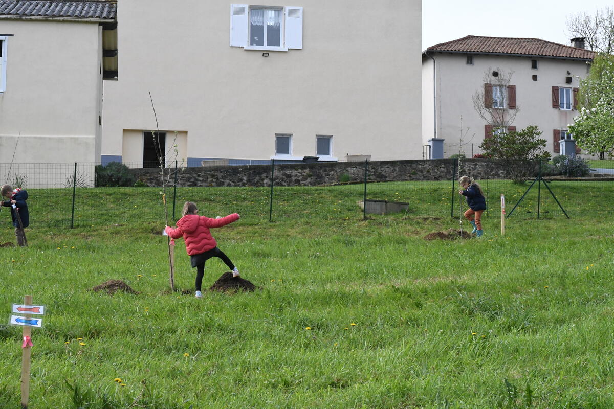 Aidés par les employés municipaux, les enfants de l'école de Cussac ont planté des arbres fruitiers ce jeudi 11 avril.