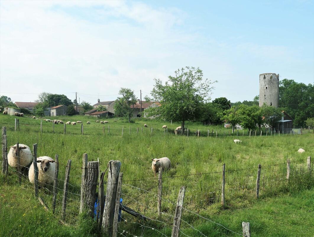 Côte-aux-Chapts - château