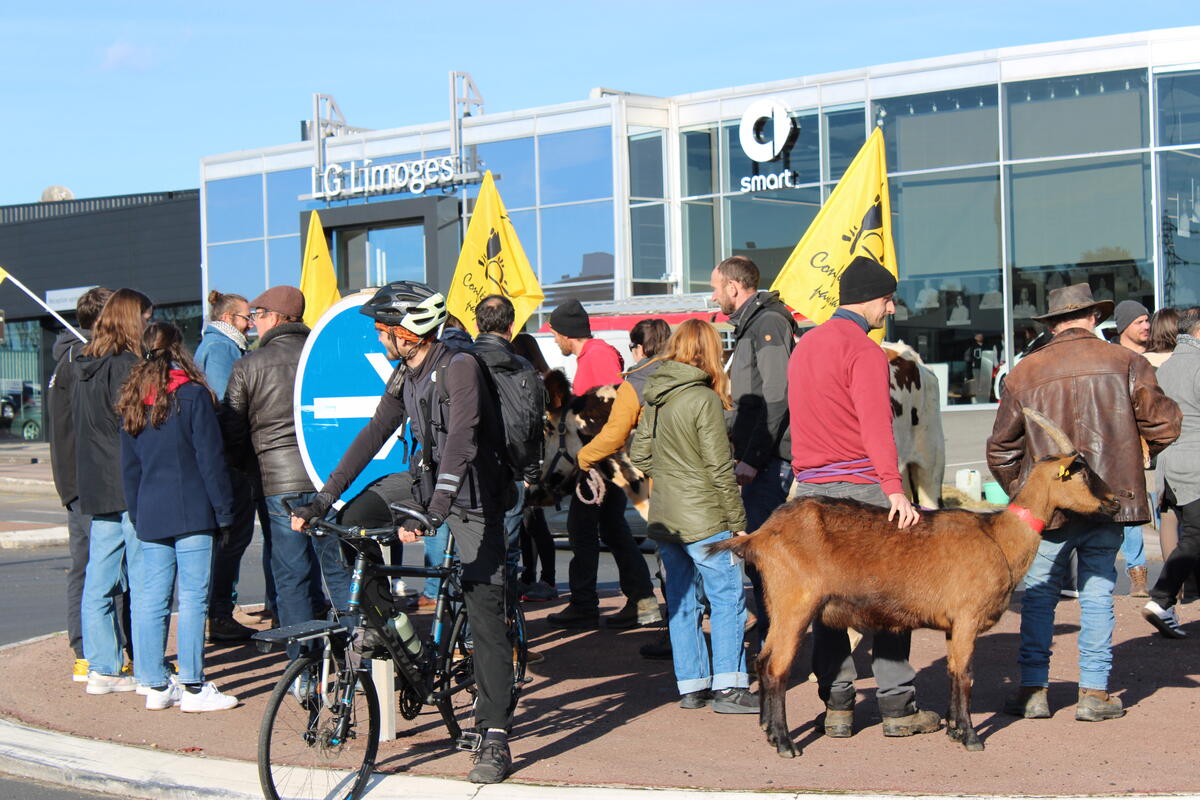 Mobilisation de la confédération paysanne au rond-point Louis Armand à Limoges, ce 22 novembre.