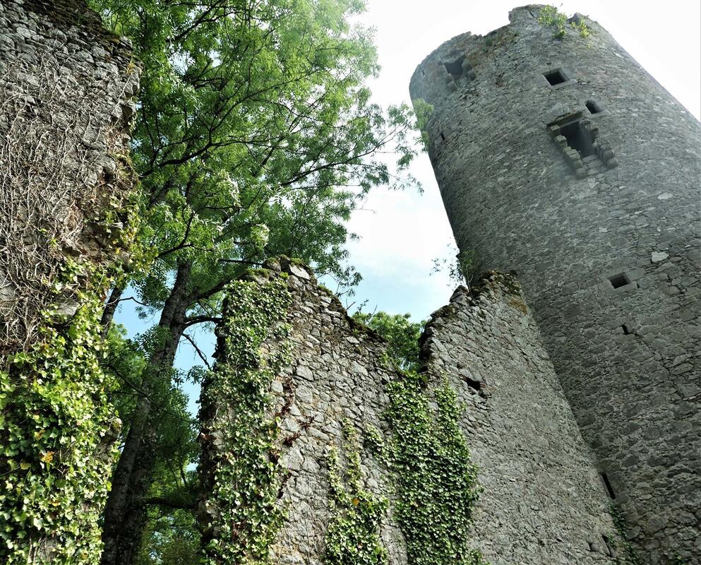 La Perrière - château